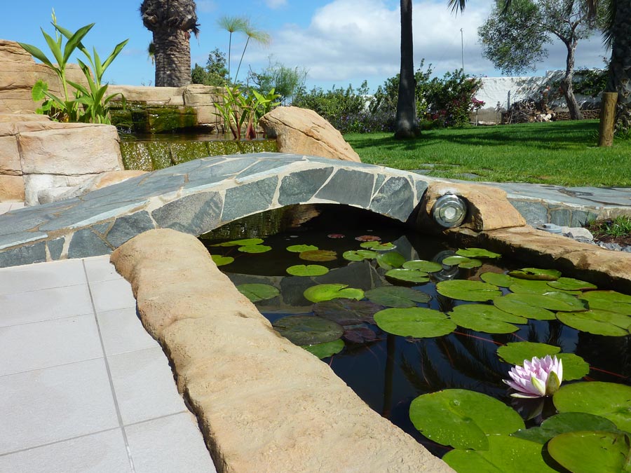 Foco de luz y charca decoracion