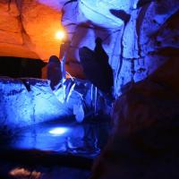 Kunstfelsen Licht 7 20170609 1807680246