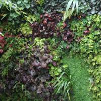 Vertikaler Wasser Garten 5 20170609 1388867114