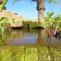 Wasseranlage Mit Kunstfelsengrotte 12 20170609 1247256921