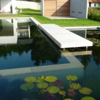 Biopools 1 20170611 1603651314