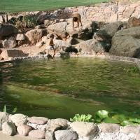 Biopool Gran Canaria 1 20170610 2098972186