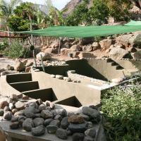 Biopool Gran Canaria 24 20170610 1547562114