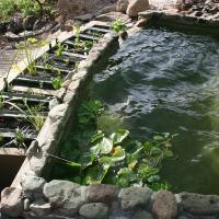 Biopool Gran Canaria 3 20170610 1037421939